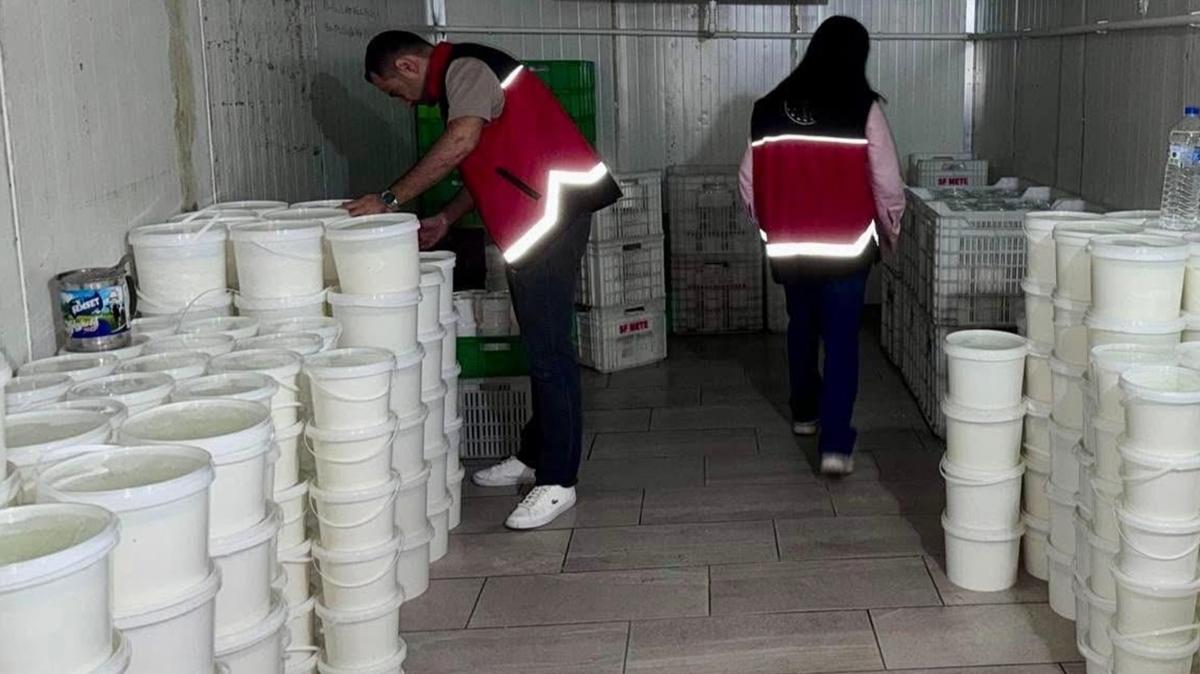 Hatay'da kilolarca peynir imha edildi