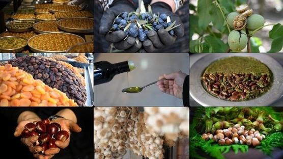 Trkiye gdada farkn konuturdu