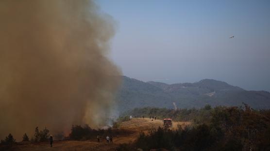 Lazkiye'de orman yangn!