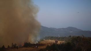 Lazkiye'de orman yangn!