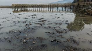 'lk defa byle bir eye ahitlik ediyoruz'