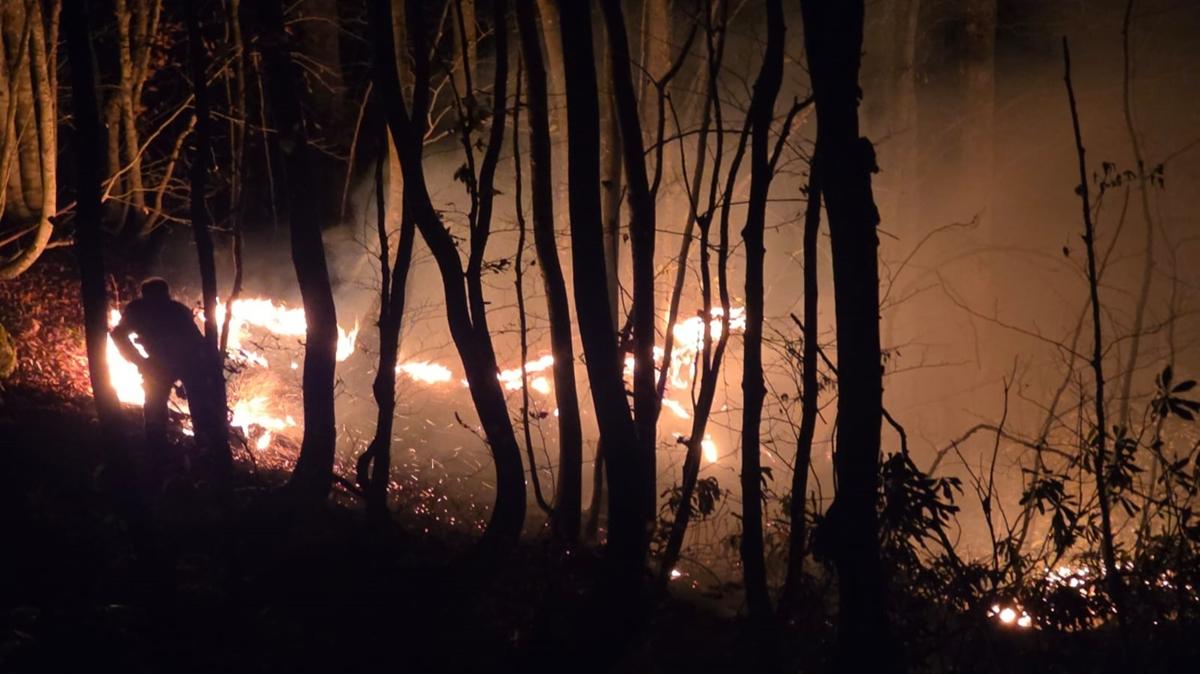 Ordu'da ormanlk alanda yangn... Alevlere mdahale ediliyor