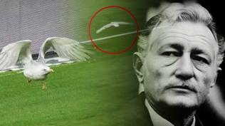 Akllara Seba'nn o sz geldi