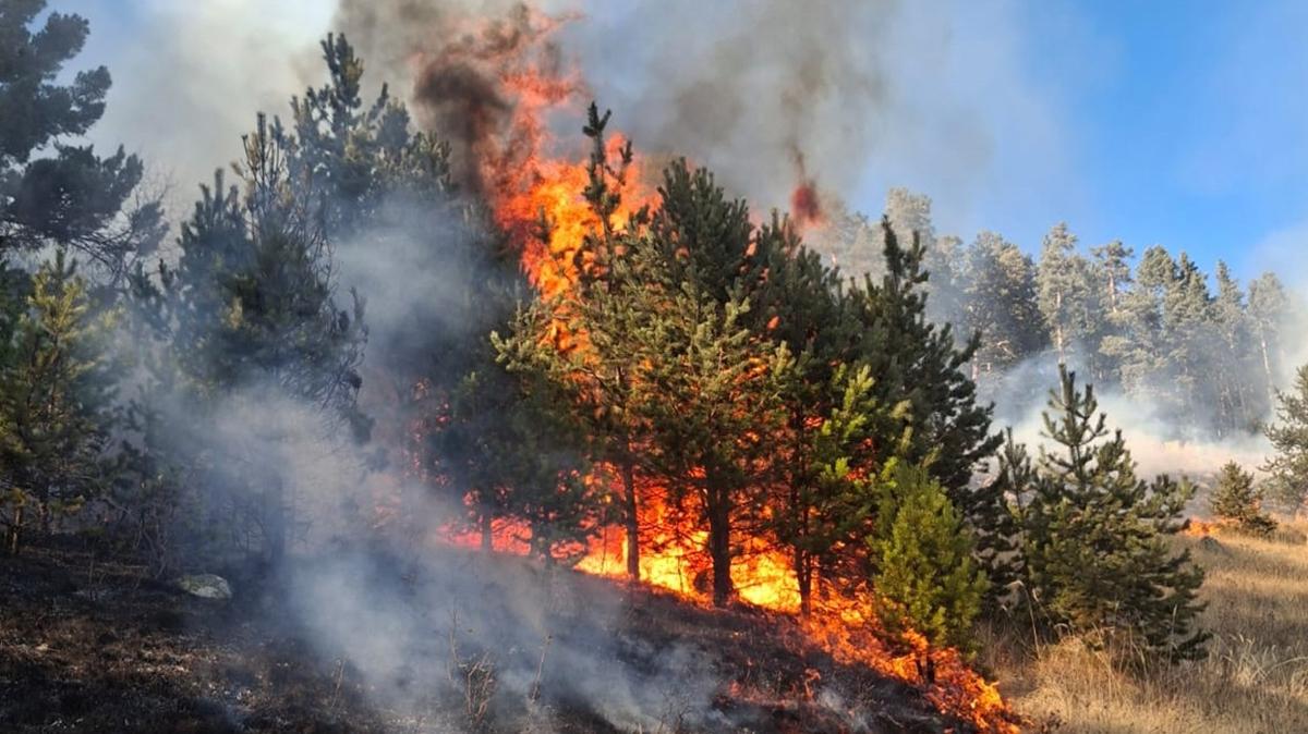 Erzurum'da 3 noktada yangn: 2'si kontrol altnda