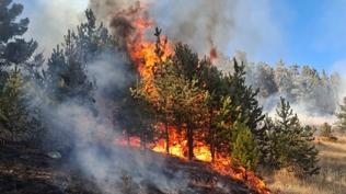 Erzurum'da 3 noktada yangn: 2'si kontrol altnda