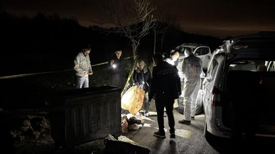 p kutusunda l bulundular