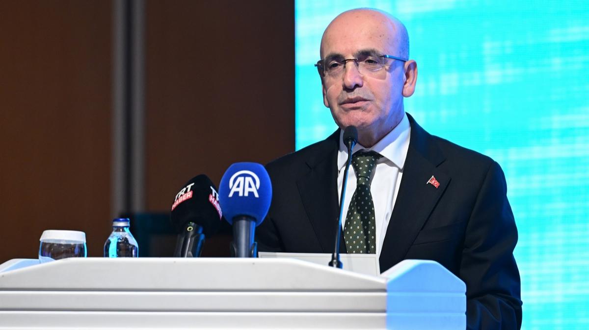 Bakan imek: Hanehalk ve reel sektrn 12 ay sonras enflasyon beklentileri kasmda geriledi