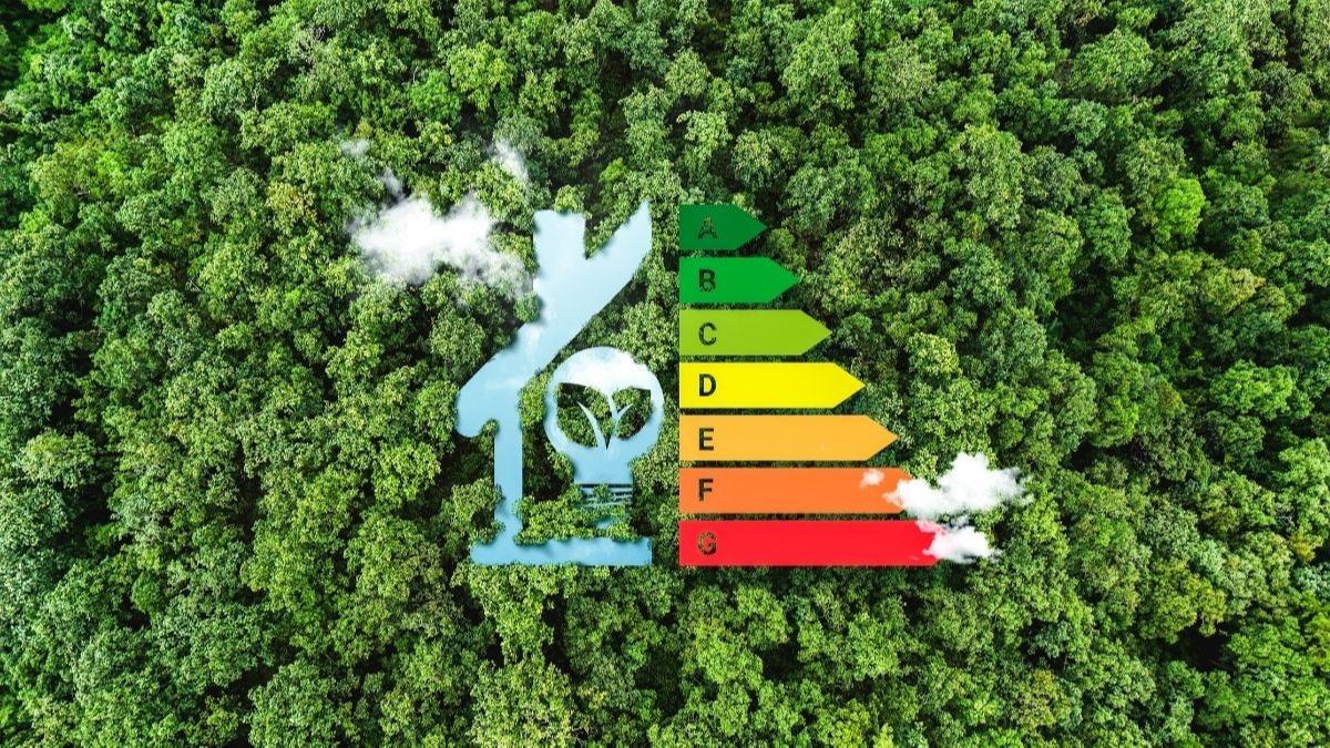 Trkiye ve 6 lkeden ortak proje: Pilot uygulamalar yrtlecek