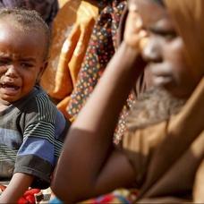 WFP, 2026 ylnn korkun tablosunu kard: On milyonlarca kii alk yaayabilir