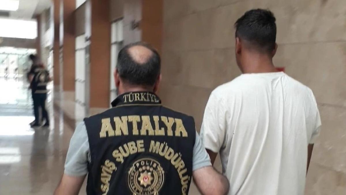 Dolandrclk ebekesi kertildi... Sahte hesaplarla ''buluma tuza'' kurmular 