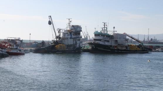 Tekirda'da balklar denize alamad