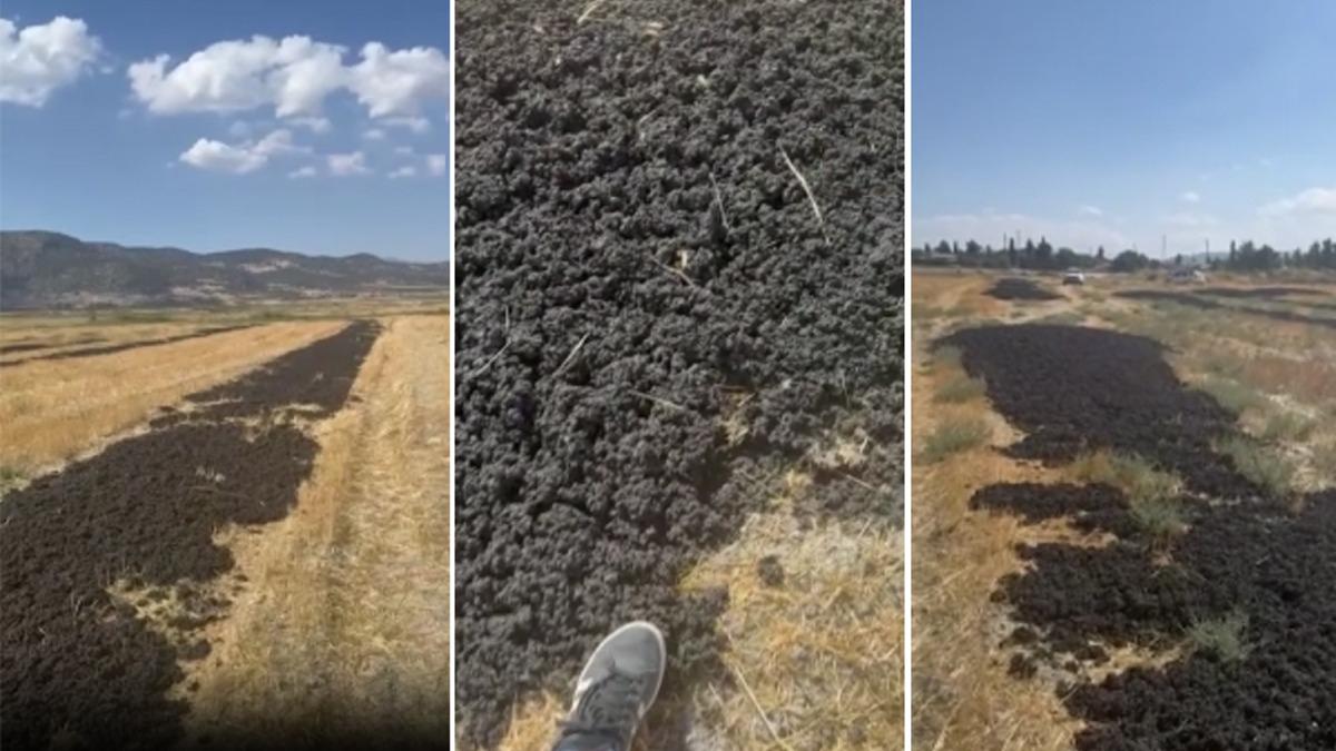 CHP'li belediyenin pisliini komu ehre dktler! Bakanlk 48,6 milyonluk cezay kesti