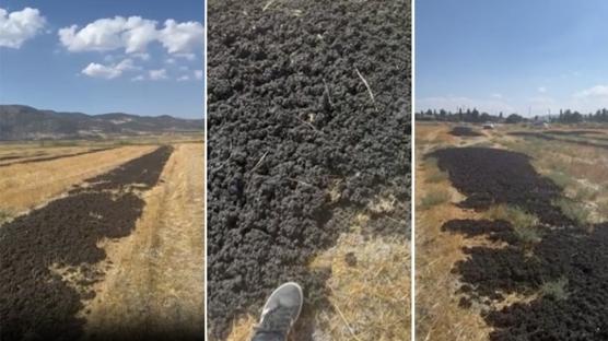 CHP'li belediyenin pisliini komu ehre dktler