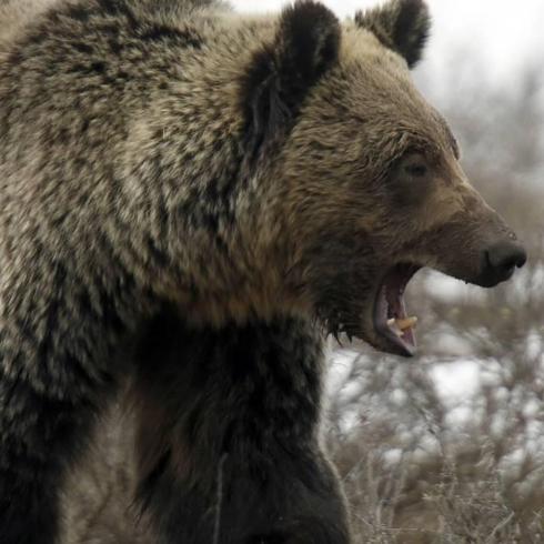 lkede evden kmayn uyars! Umumi tuvalet nnde ay saldrs