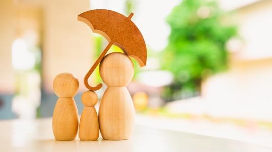 Trkiye'de gelenekten gelecee uzanan kpr: Aile