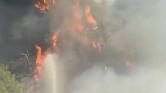 Belen'de ormanlık alanda yangın: Müdahale başladı