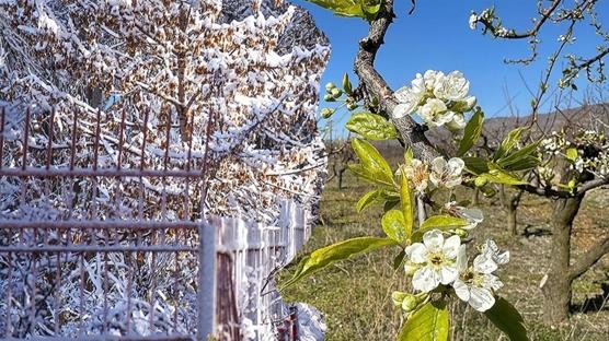 Bu k scak geecek! Meteorolojiden iftilere uyar geldi