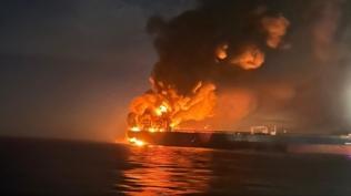 Dileri: Endieyle karlyoruz