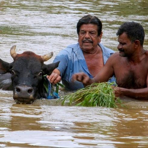 Sri Lanka'da iddetli yalar 153 kiinin lmne neden oldu