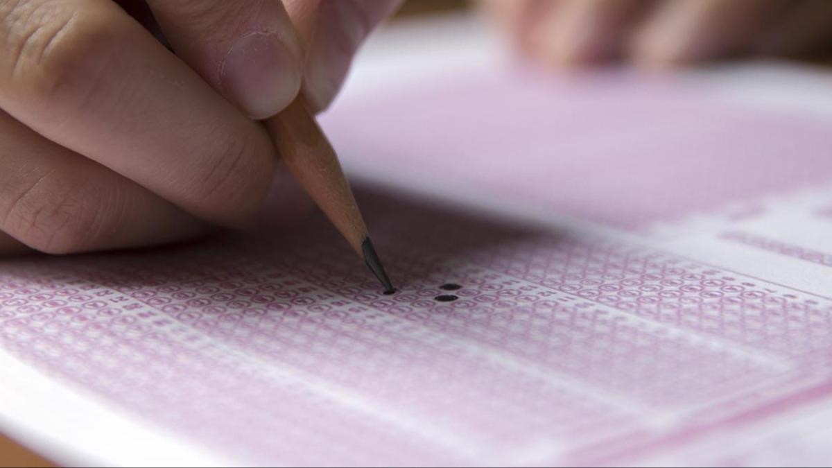 MEB'den LGS rencilerine dijital destek 