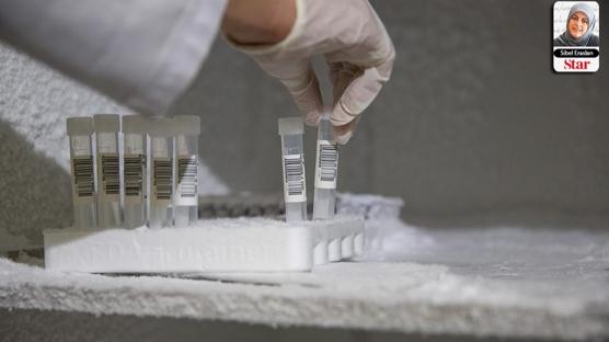 Uzun ömür mü, ölümsüzlük mü? Klinikler hangisinin peşinde?