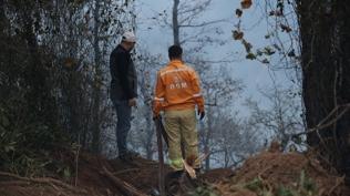 5 hektarlık alan küle döndü! Artvin'deki örtü yangını kontrol altına alındı