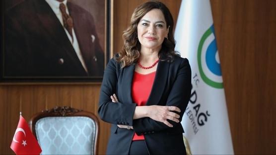 Kamu kayna siyasi amala kullanld