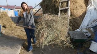stanbul'dan kyne dnd hayat deiti