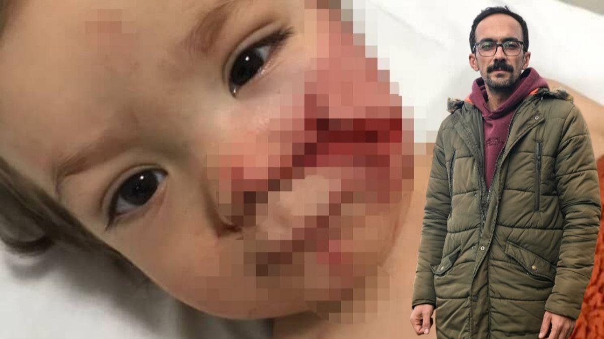 Pitbull dehetini yaayan baba: Bu kadn karsa biz bir daha rahat uyuyamayz