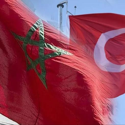 Trkiye'nin baarsna vgde bulundular: Kapsaml bir deneyime sahipler