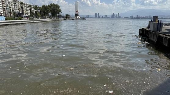 AK Parti'li ankr'dan zmir Bykehir Belediye Bakan Tugay'a eletiri: Krfezin temizliinden siz sorumlusunuz