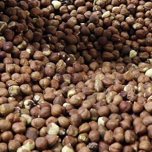 Fndk ihracat  ayda 547 milyon dolar kazandrd