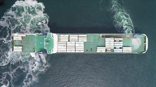 Türkiye ile Mısır, Ro-Ro hattına yeniden işlerlik kazandırılması için çalışma yürütecek