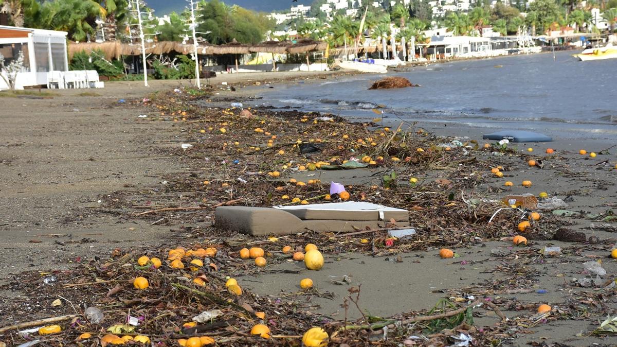 Bodrum tannmaz halde! Atklar denize ulat