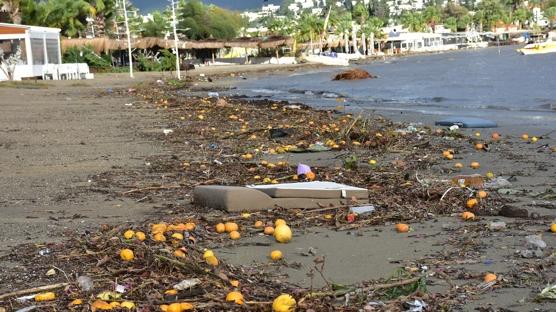 Bodrum tannmaz halde