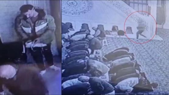 Camide pes dedirten hrszlk