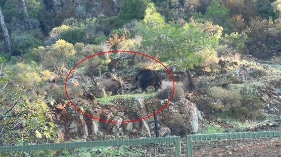 CHP'li belediyenin ilgisizliği pes dedirtti