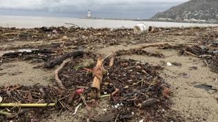 Alanya'da ya hayat olumsuz etkiledi: Galip Dere Plaj'nda kirlilik olutu
