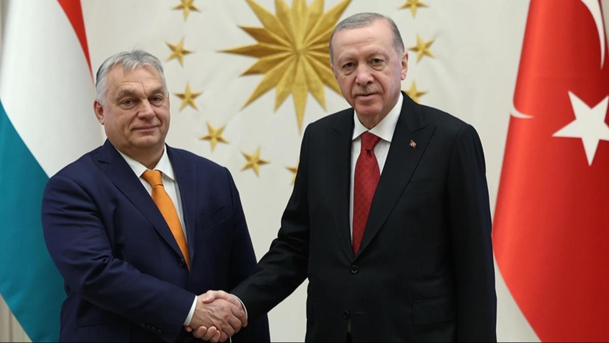 'ok byk nem arz ediyor'