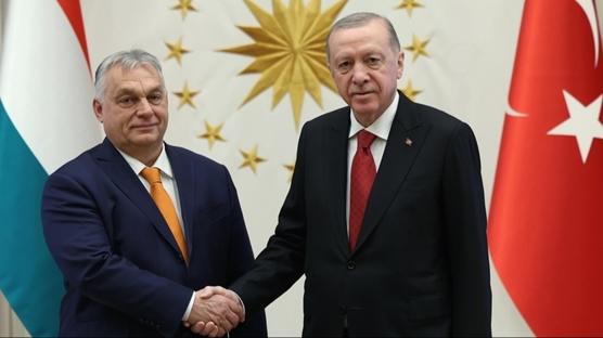 'ok byk nem arz ediyor'