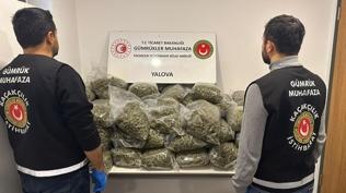 Fransa'dan Yalova'ya zehir ticareti! Kilolarca ele geçirildi