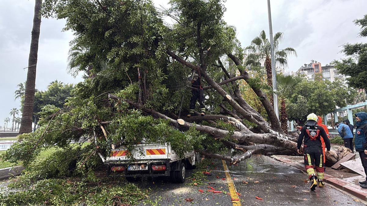 Faciadan dönüldü! Devrilen ağaç seyir halindeki araçlara zarar verdi
