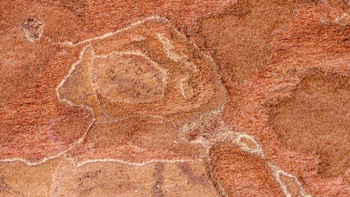 Avustralya'daki krmz kayalar 16 milyon yllk fosilleri koruyuyor
