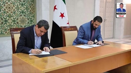 Anlayana sivrisinek saz