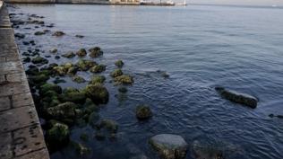 Konak sahilinde acı olay! Genç adamın cesedi bulundu