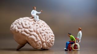 Yaşlanmak korkutucu değil; Bilim insanları beynin en güçlü dönemini buldu