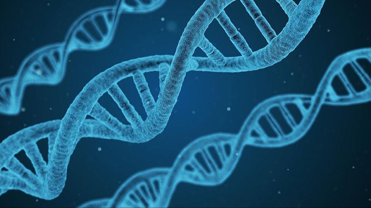 200 ocuun hayatn deitirebilecek nadir kanser geni ortaya kt