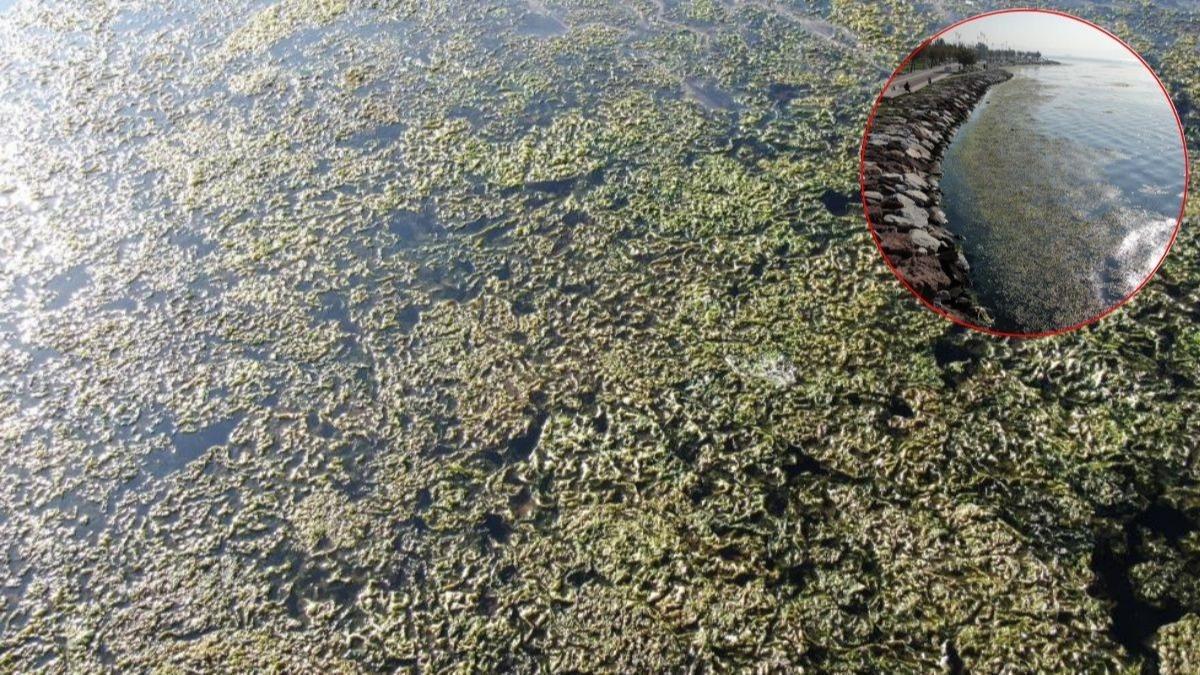 Profesrden isyan: Mevcut ynetimin bilimle hibir ilgisi yok