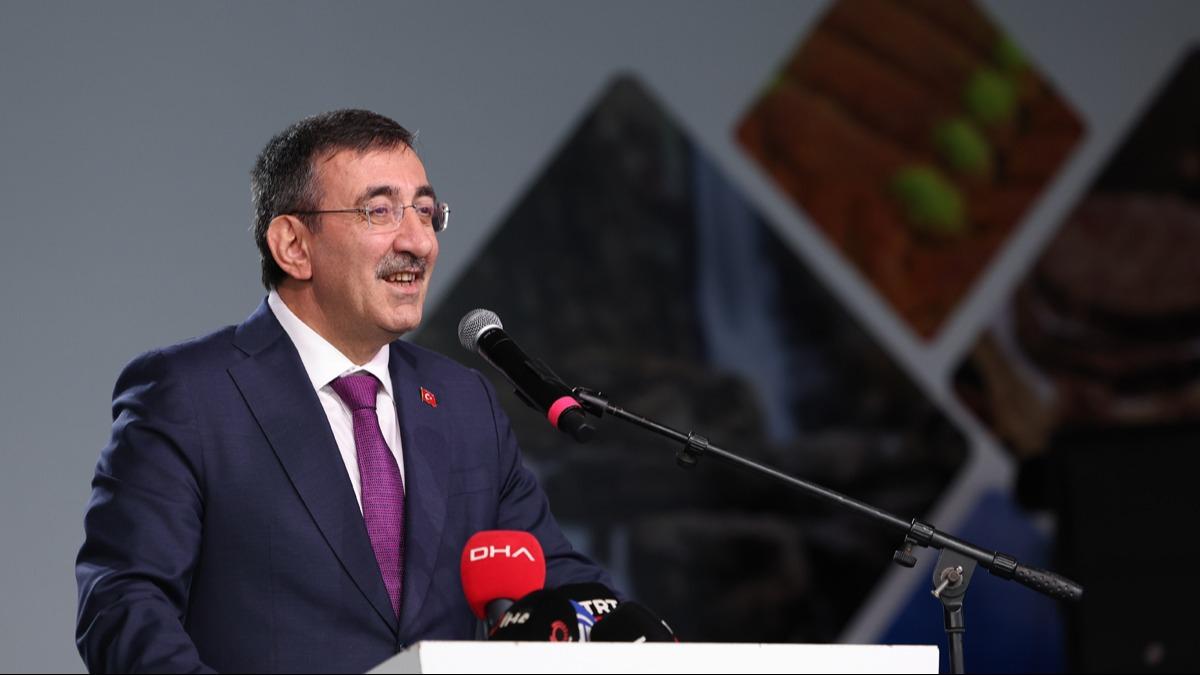 Cumhurbaşkanı Yardımcısı Yılmaz'dan 'Terörsüz Türkiye' mesajı: Tuzaklara düşmeyeceğiz milli birliğimizi koruyacağız