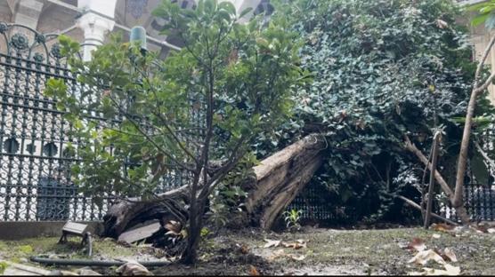 Eyp Sultan Camii'nde faciadan dnld! Avluda aa devrildi